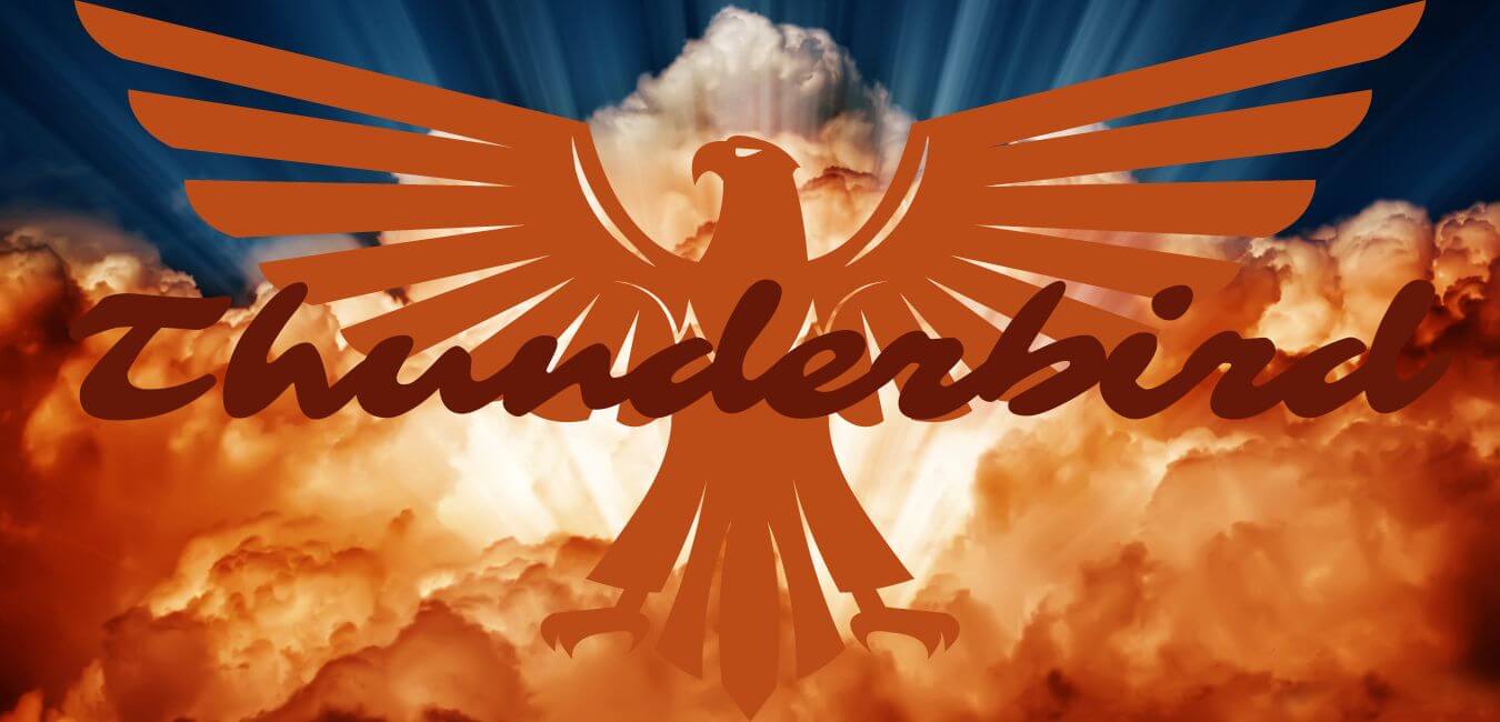 The Legendary Thunderbird Animal Totem - FIHEROE.