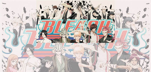 bleach gotei 13