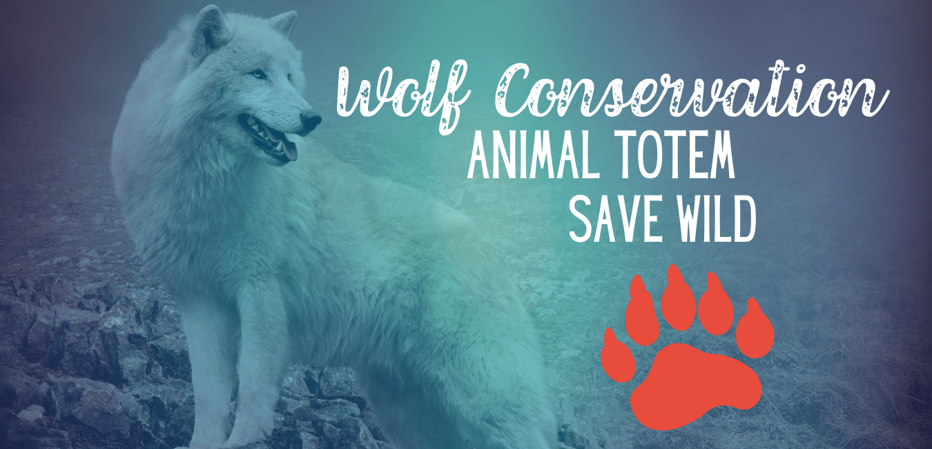 Wolf Conservation - Should We Kill Them to Save Them? - FIHEROE.