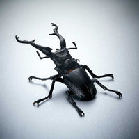Thumbnail for Banpresto Entomology Realistic Insect Figures - FIHEROE.
