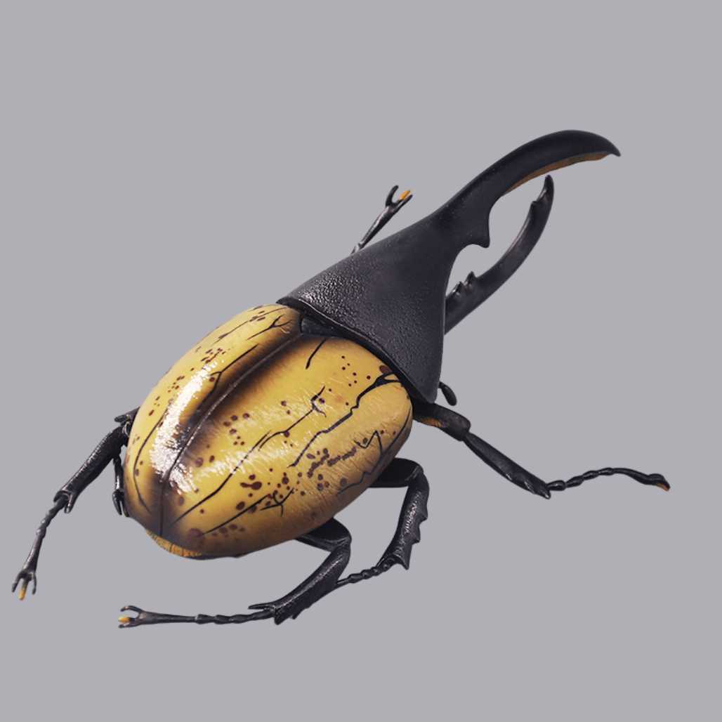 Banpresto Entomology Realistic Insect Figures - FIHEROE.
