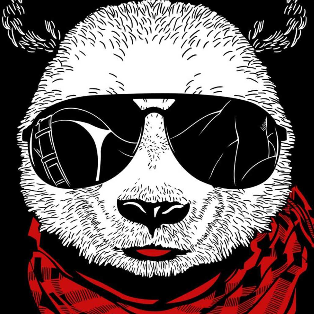 Camiseta gráfica con el simpático animal animado Panda